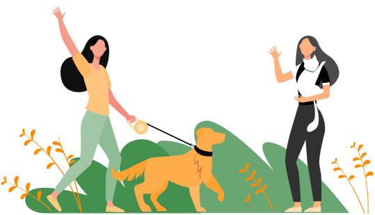 https://vetsplusmore.co.za/wp-content/uploads/2021/01/faq-1.png