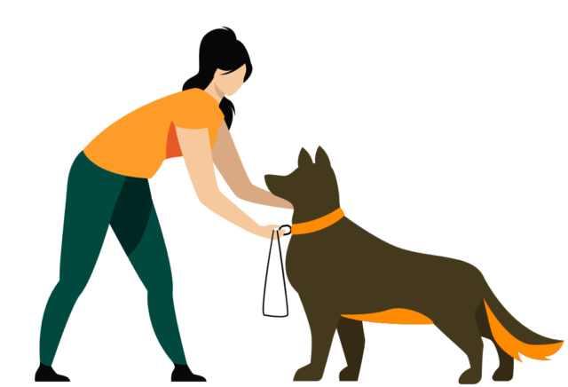 https://vetsplusmore.co.za/wp-content/uploads/2021/01/pet1-640x436-1.png