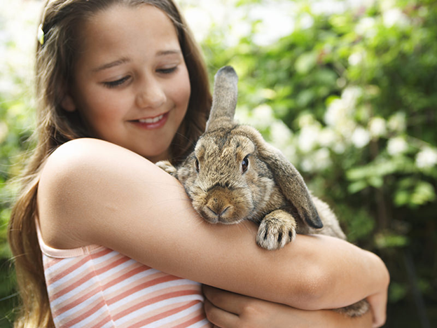 https://vetsplusmore.co.za/wp-content/uploads/2021/01/petinsurance_image1-1.png