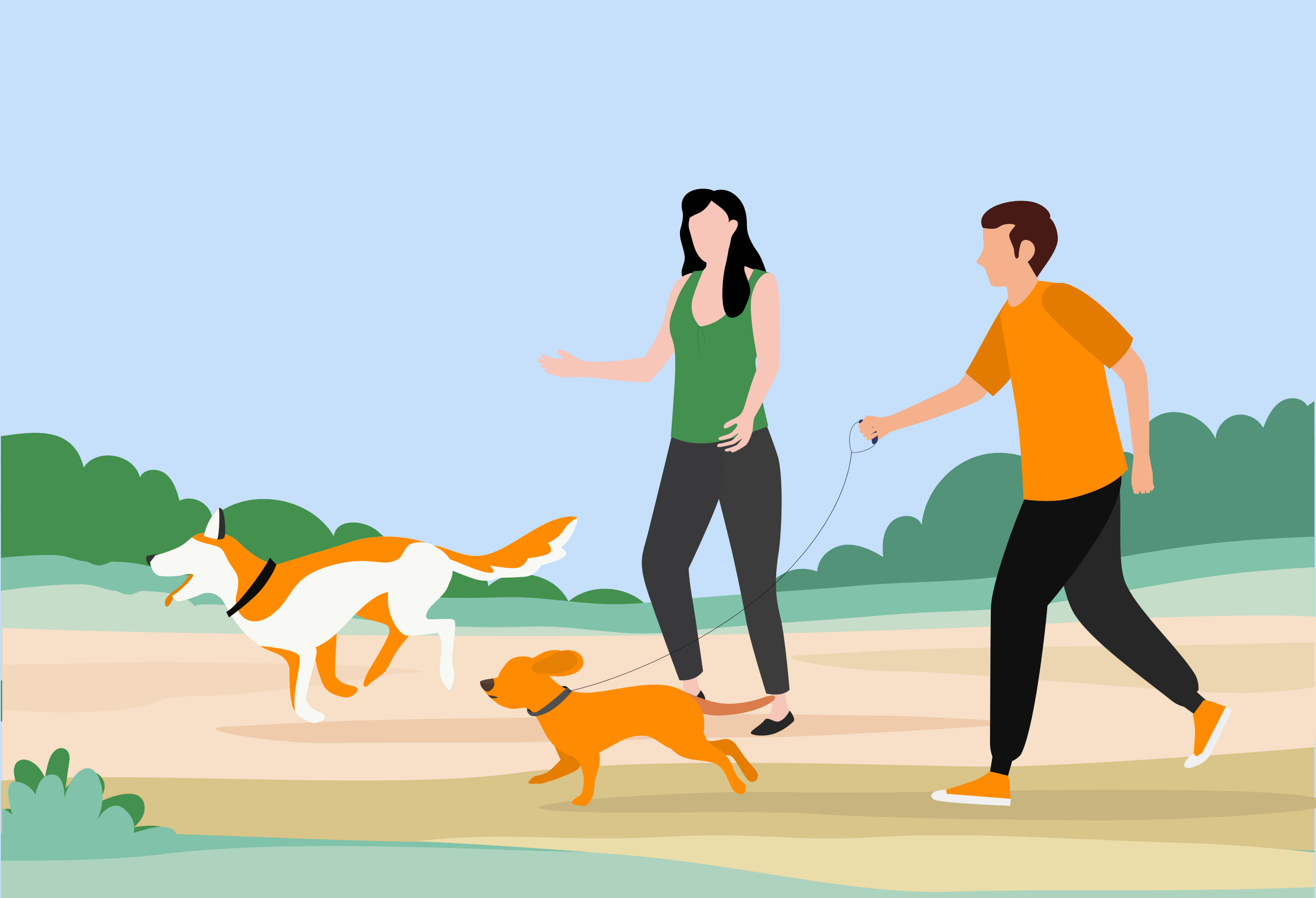 https://vetsplusmore.co.za/wp-content/uploads/2021/01/walk2-1.png
