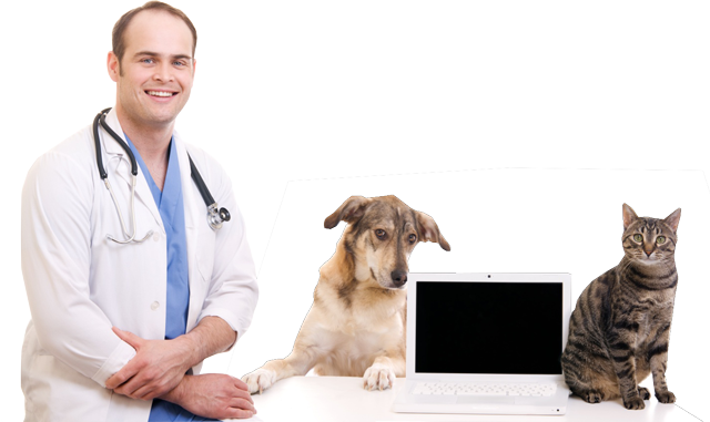 https://vetsplusmore.co.za/wp-content/uploads/2021/08/main_sec_bg.png