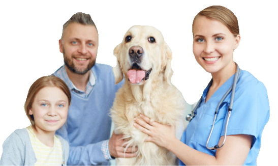 https://vetsplusmore.co.za/wp-content/uploads/2021/09/header_img2.png