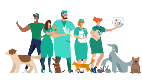 https://vetsplusmore.co.za/wp-content/uploads/2021/09/header_img3.png