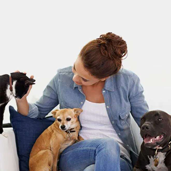 https://vetsplusmore.co.za/wp-content/uploads/2021/09/petinsuranc-1.png