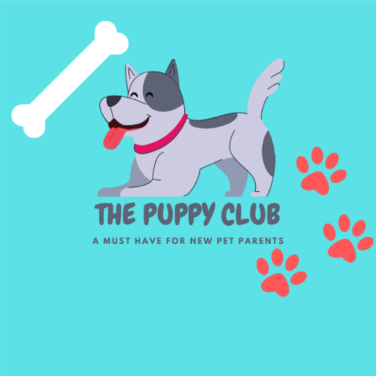 https://vetsplusmore.co.za/wp-content/uploads/2021/09/the_puppy_club_big.png